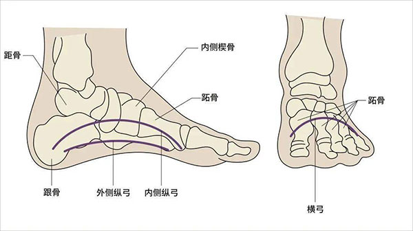 足部